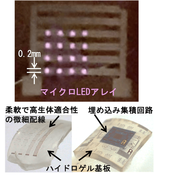 低出力光療法用デバイス(集積化フォトバイオモジュレーション)(図)